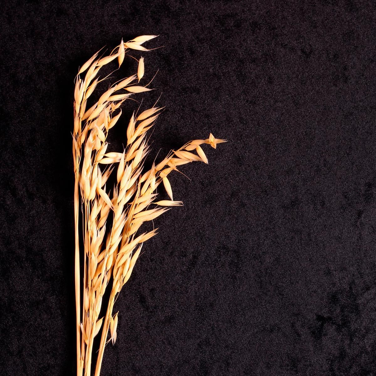 Farina di Avena Nuda
