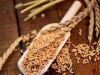 Farina di Farro Spelta
