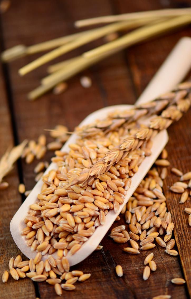 Farina di Farro Spelta