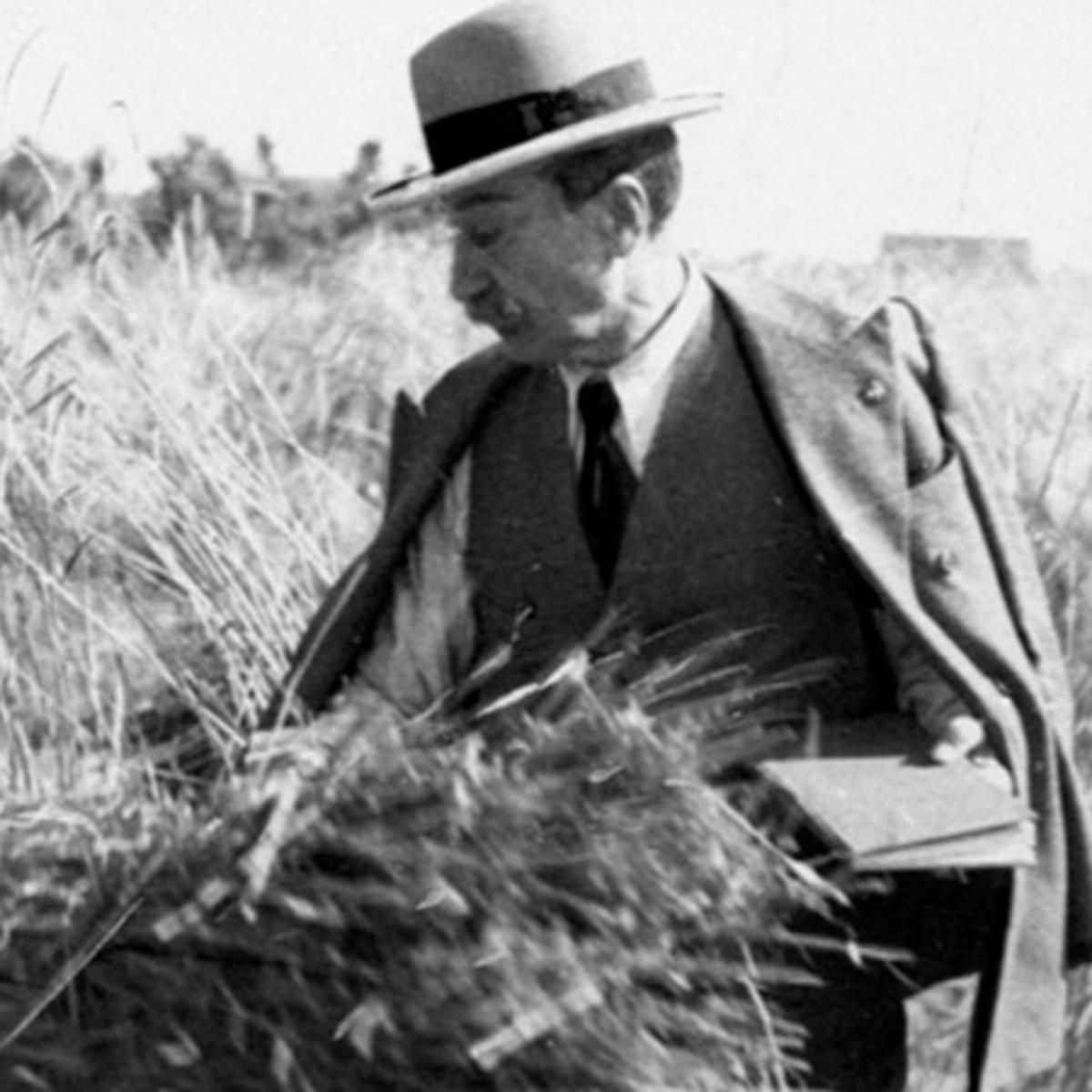 Farina di Farro Spelta