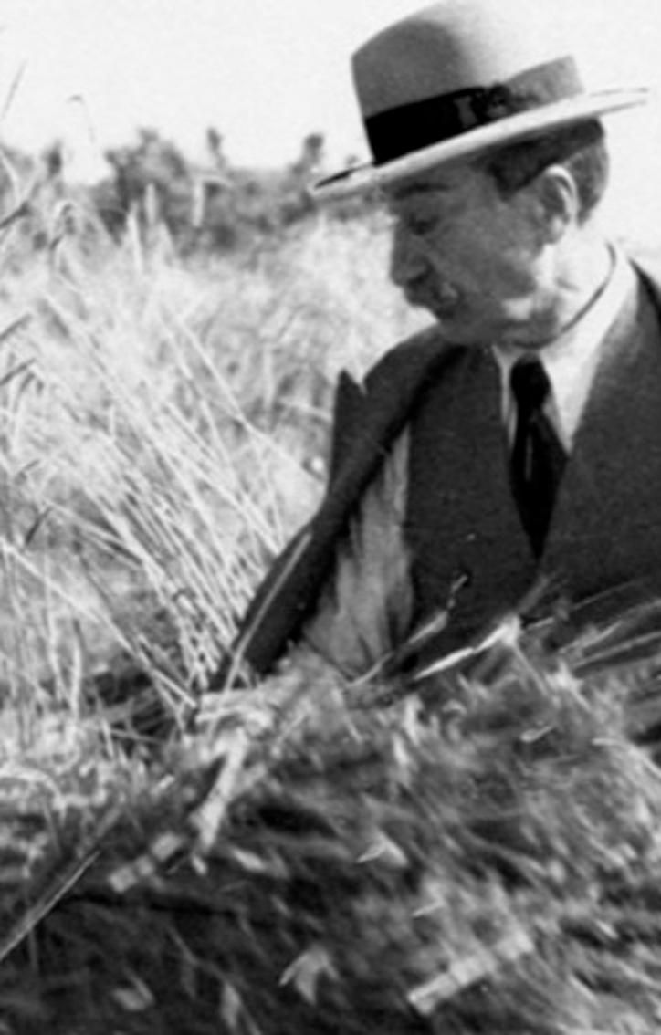 Farina di Farro Spelta
