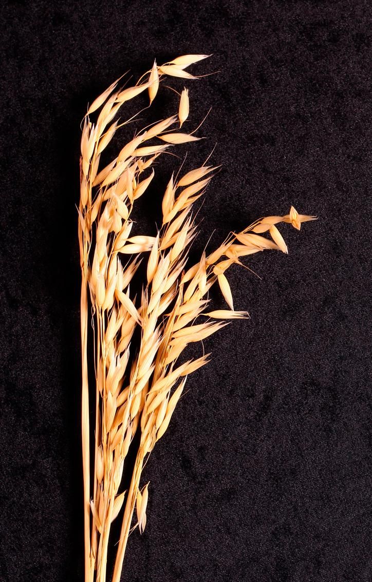 Farina di Avena Nuda